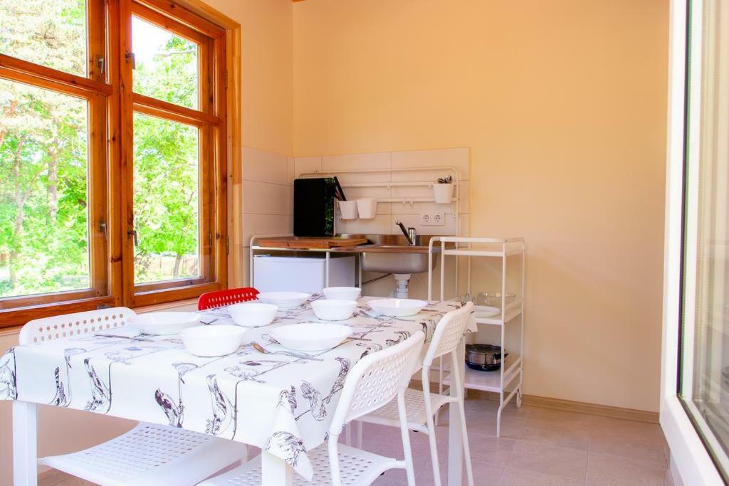 Hotel Vila Bohema Palanga - 4 Apartamentu Vila Kestucio G. 11 Exteriér fotografie